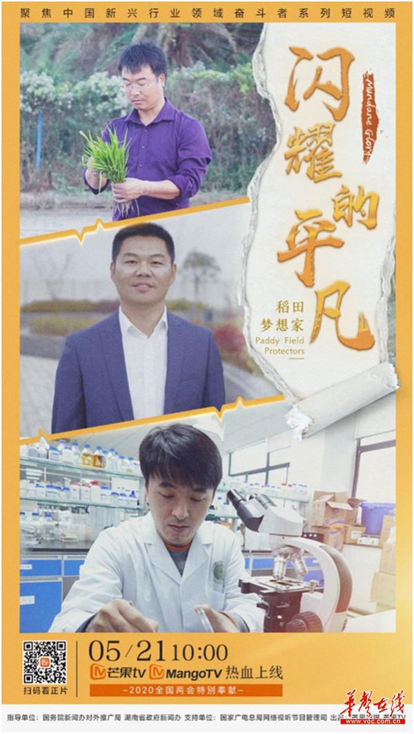 寻色_寻色_寻色