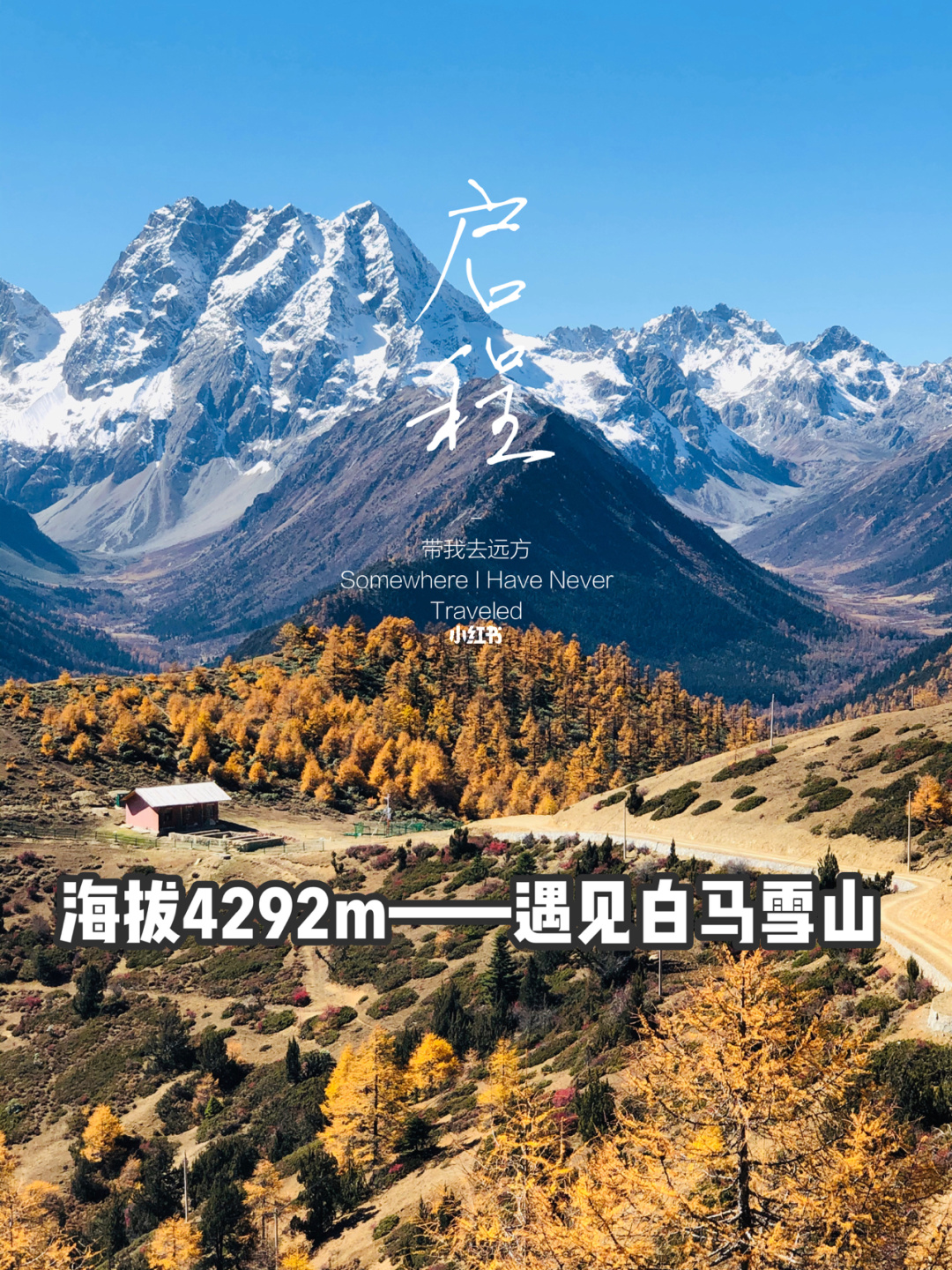 探险大自然，月火引领你的旅程