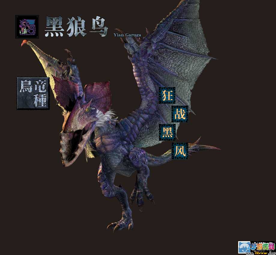 黑狼鸟_黑狼鸟_黑狼鸟