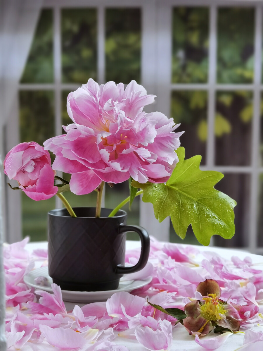 花之灵_灵花是什么意思_灵花泌尿灵片作用