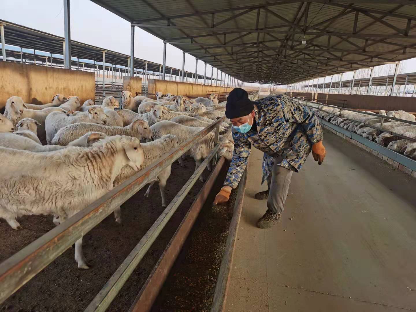 东乡一二三coop_p5东乡coop_p5r东乡coop