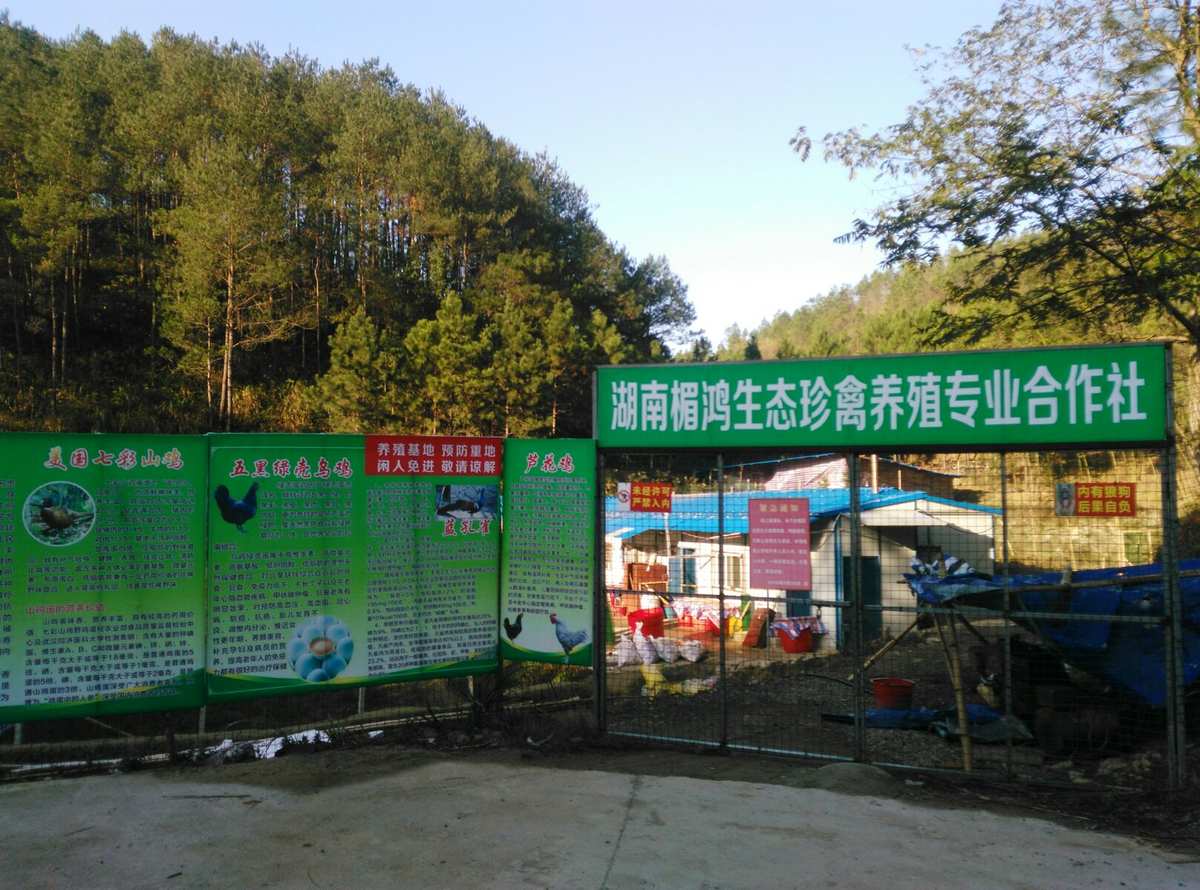 东乡一二三coop_p5东乡coop_p5r东乡coop