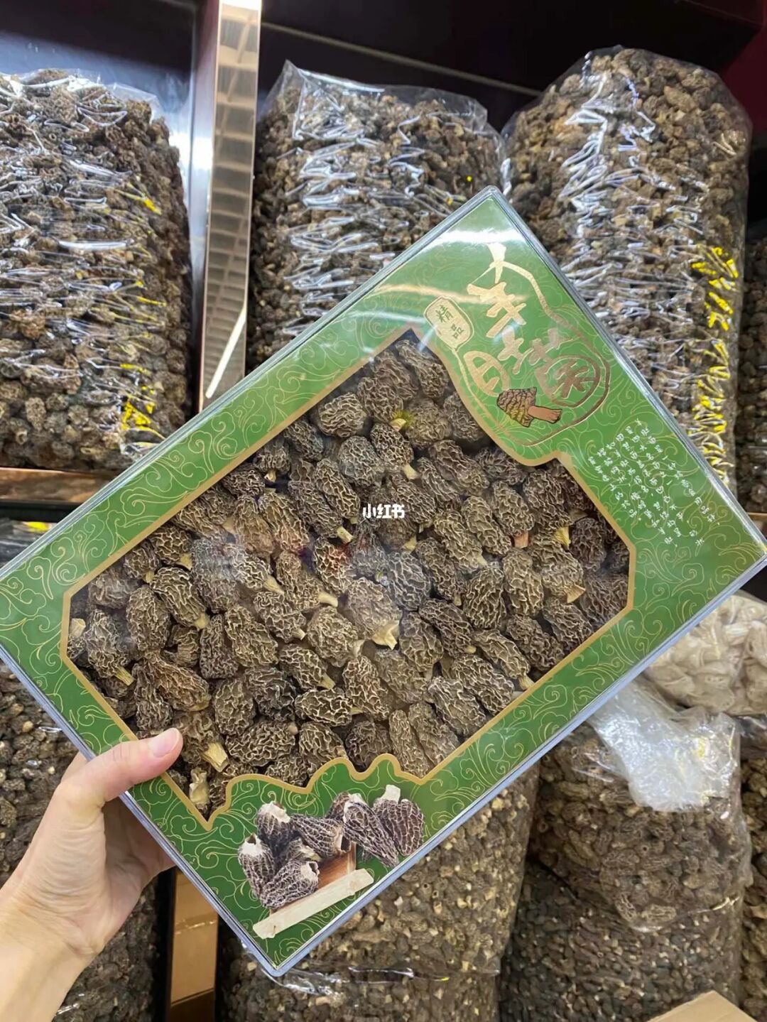蘑菇仔_蘑菇仔的农家小媳妇_蘑菇仔是什么意思