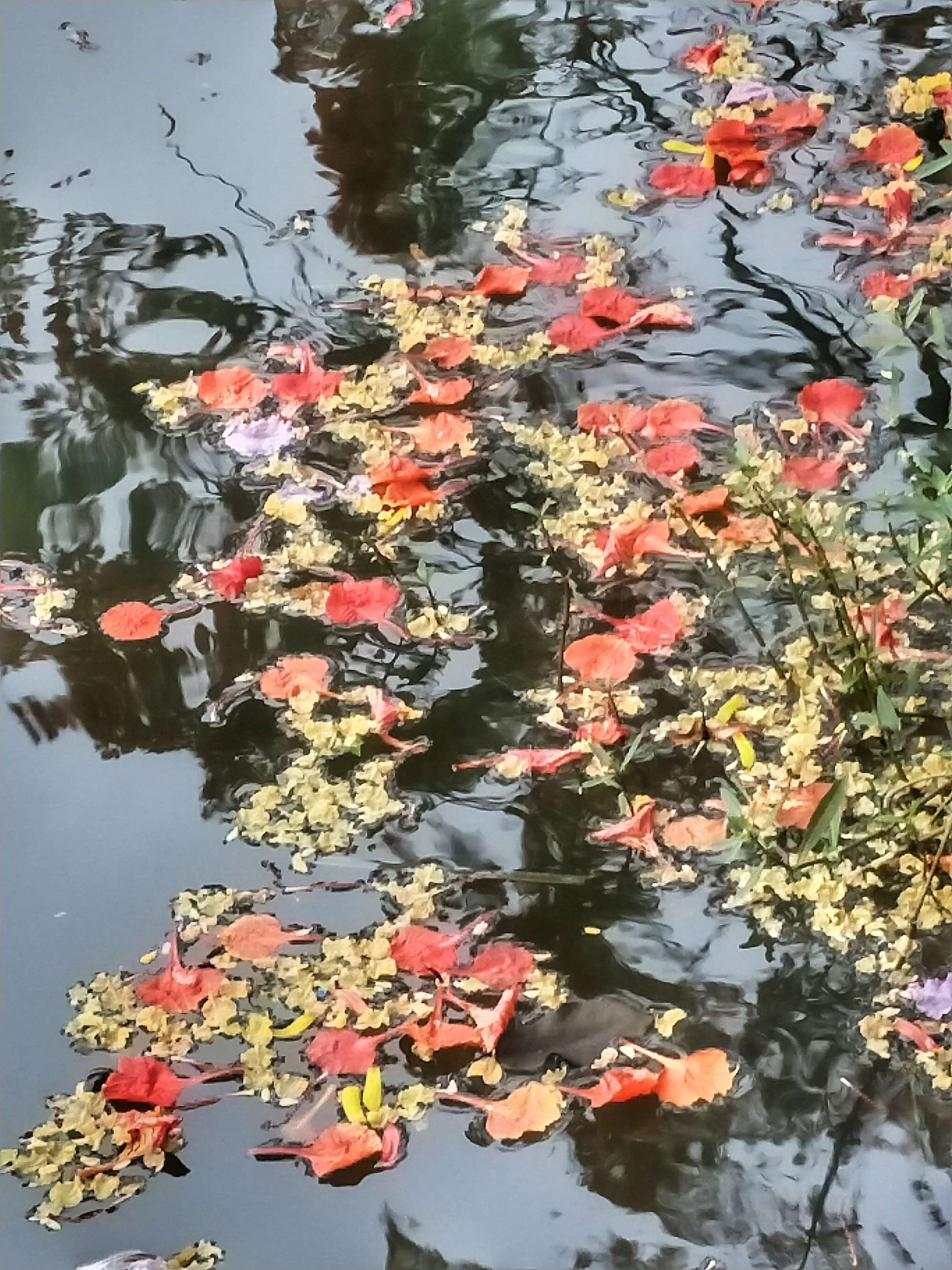 水墨沼泽_水墨沼泽的水_水墨沼泽水底