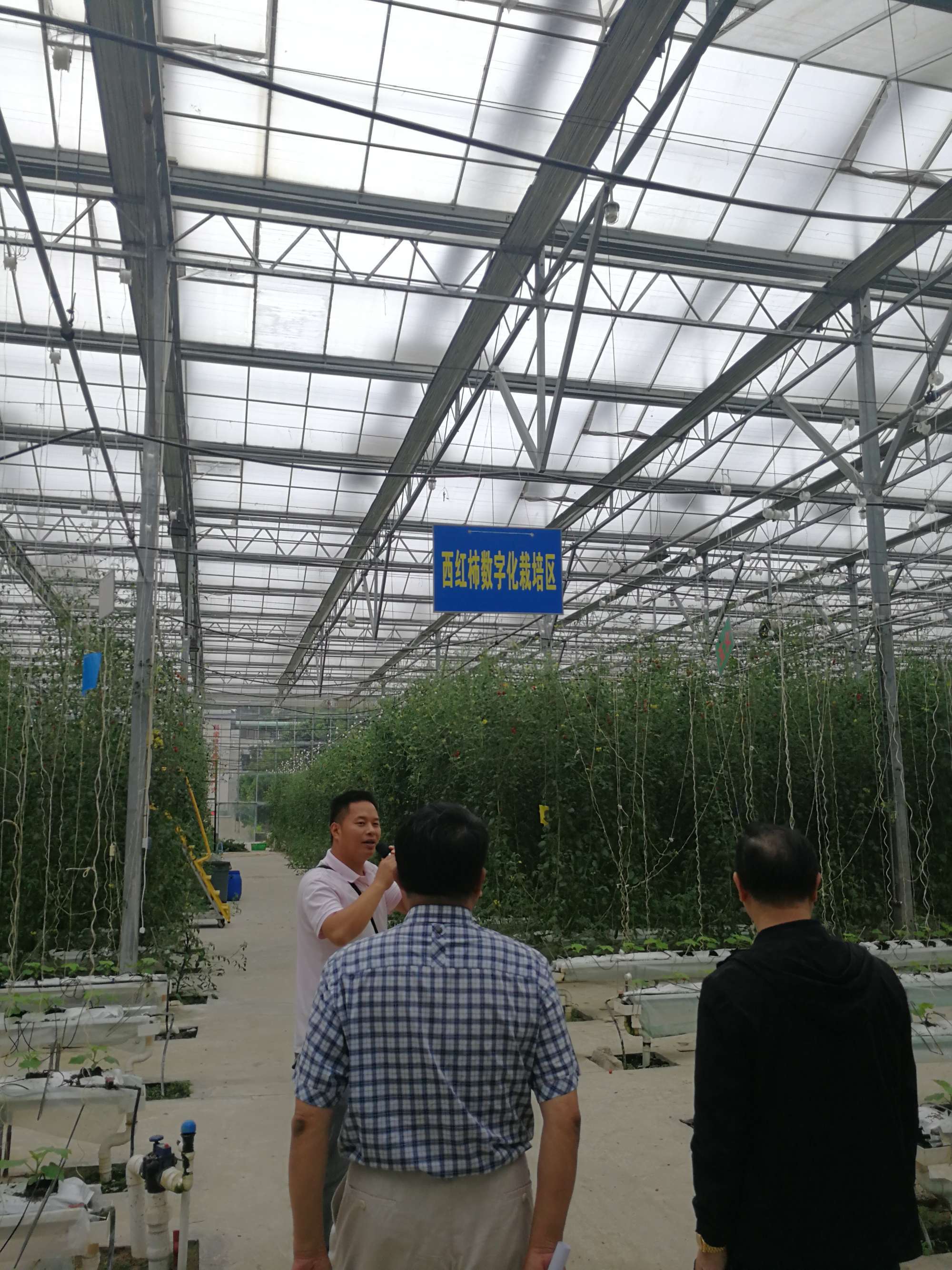 奥卡拉市_奥卡拉_奥卡拉汉