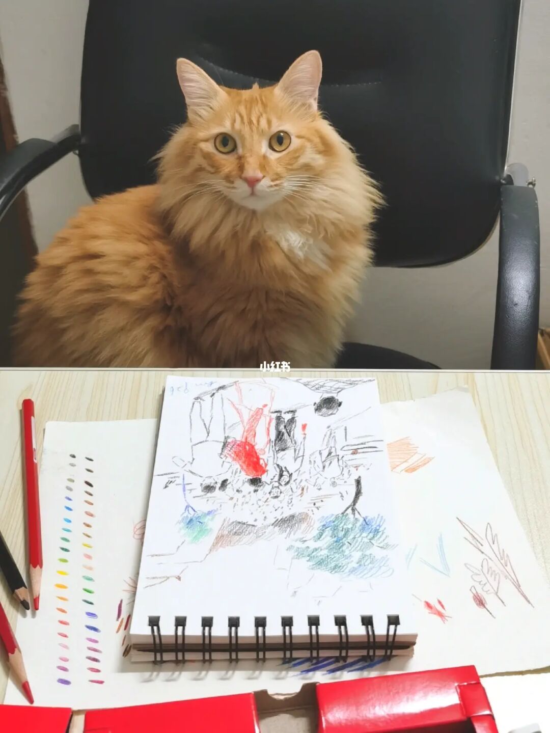 花猫画质助手10.1正式版下载_画质助手app官方下载_画猫画质助手9.5