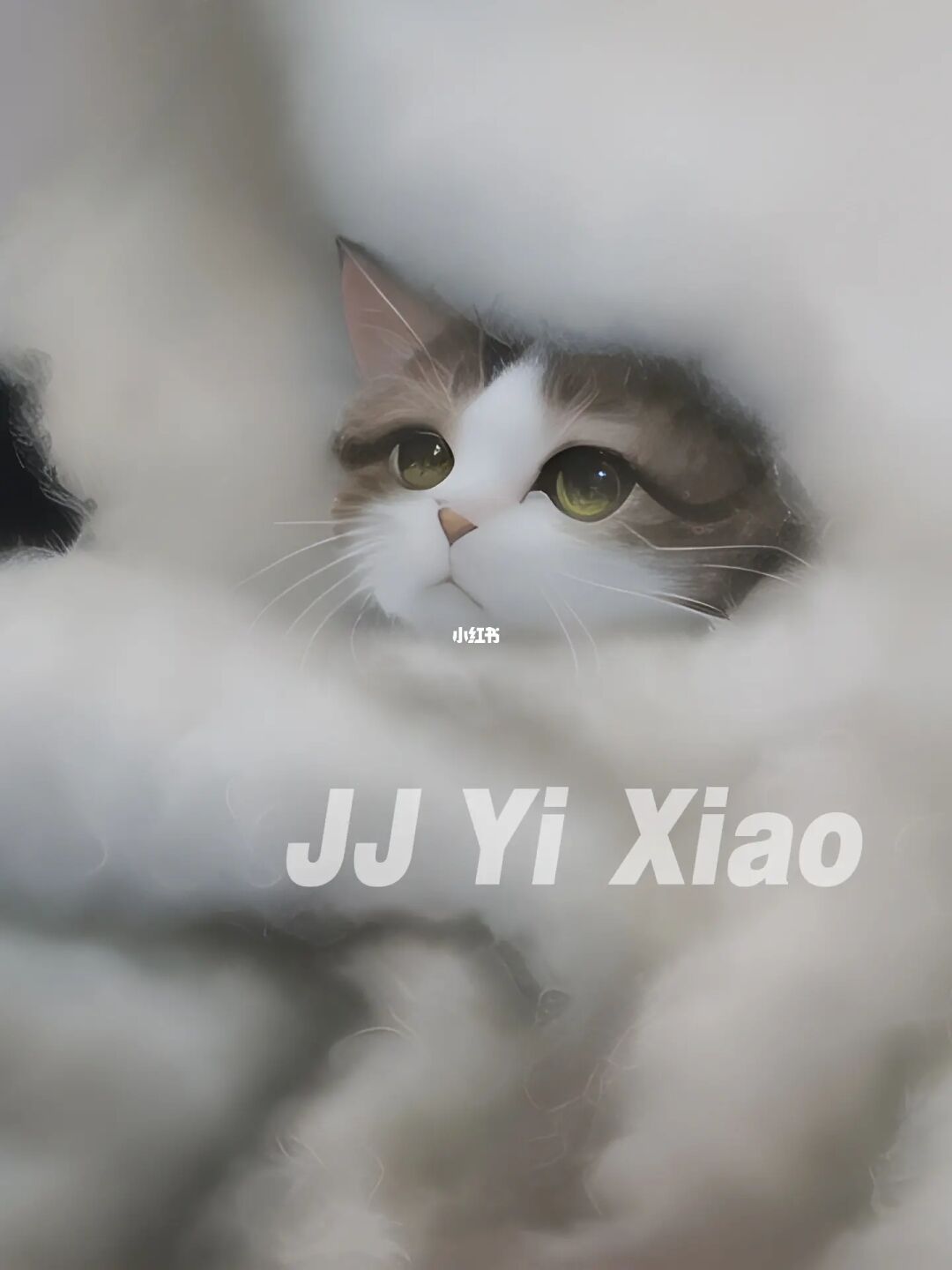 花猫画质助手10.1正式版下载_画猫画质助手9.5_画质助手app官方下载