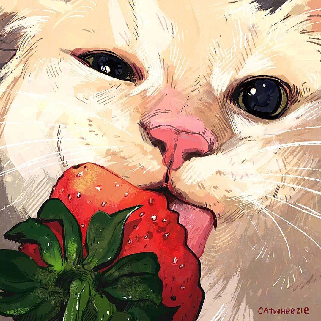 画质助手app官方下载_花猫画质助手10.1正式版下载_画猫画质助手9.5