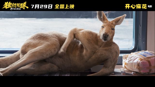 袋鼠影视_袋鼠影视知乎_袋鼠影视TV版下载