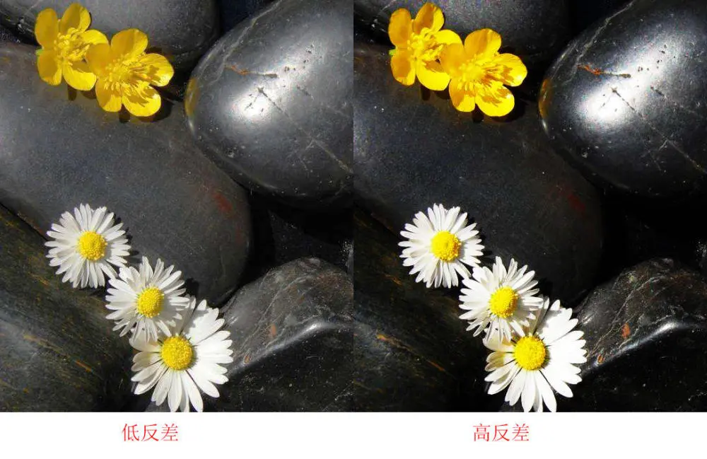 超棒的手机调色软件_调色软件手机可以用吗_手机调色软件