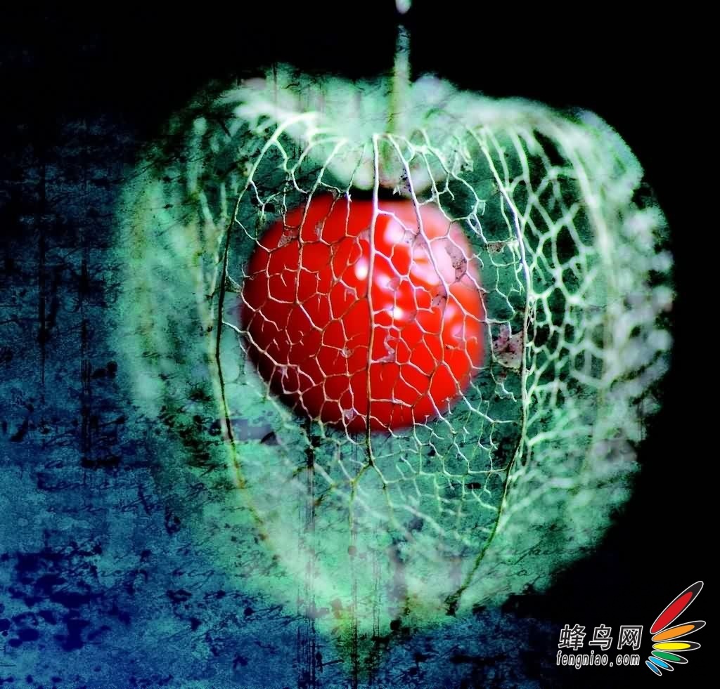 手机调色软件_超棒的手机调色软件_调色软件手机可以用吗