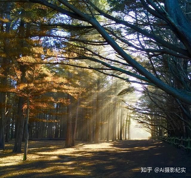 超棒的手机调色软件_调色软件手机可以用吗_手机调色软件
