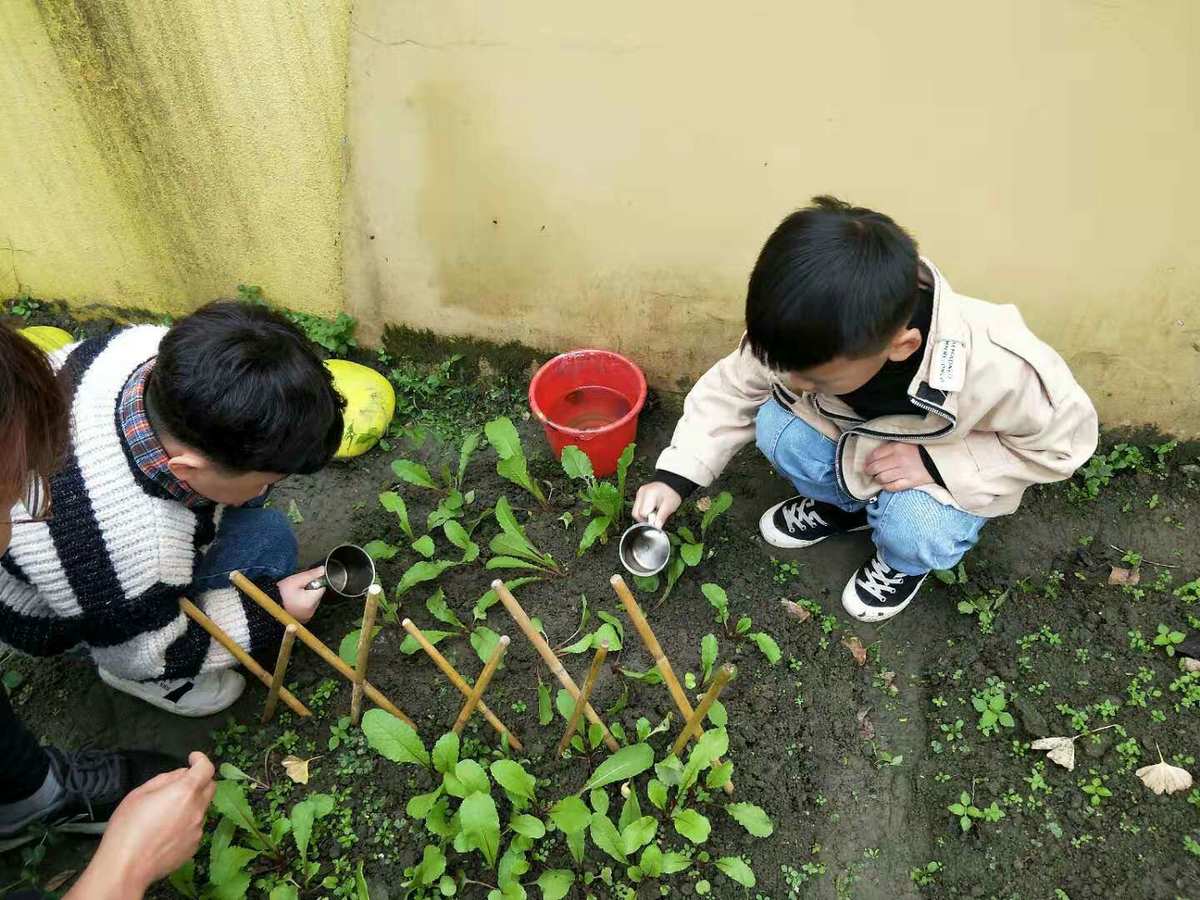萝卜密怎么吃_萝卜密聊_萝卜密聊