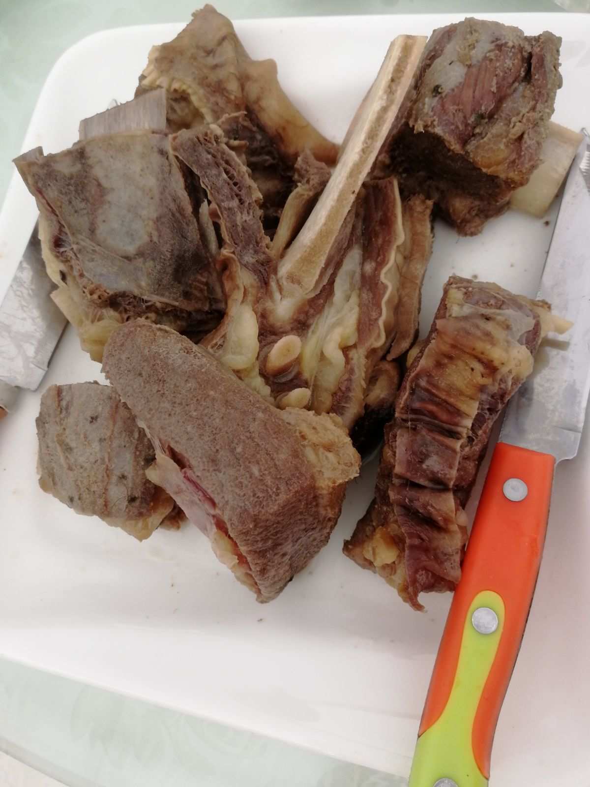 圣域魔都魅影_圣域魔都魅影_圣域魔都魅影