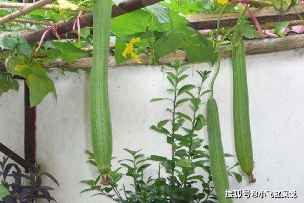 视频在线无限丝瓜网站看_韩国视频网站看视频_丝瓜视频无限在线看网站