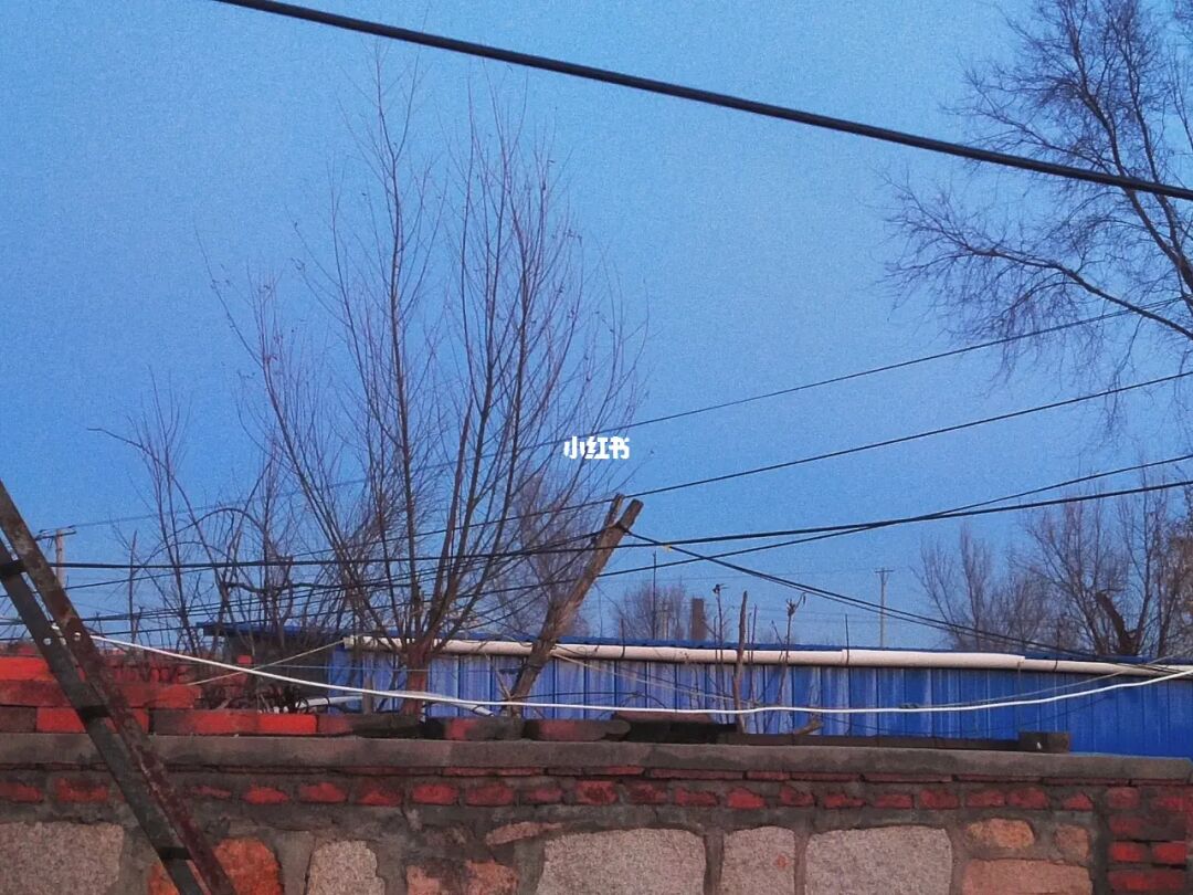 认识论_认识的拼音_认识他