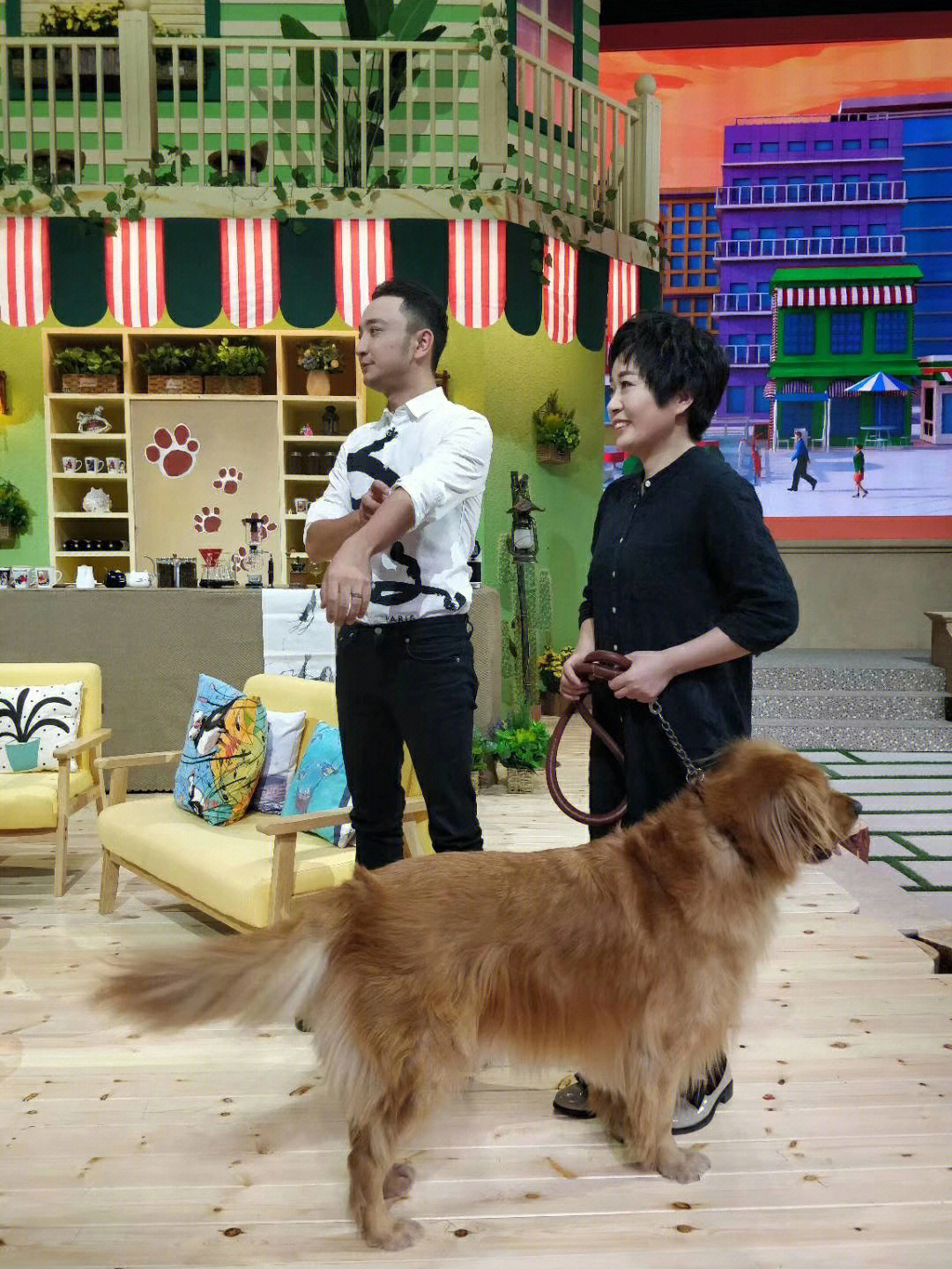 电视狗APP_电视狗TV版下载_电视狗
