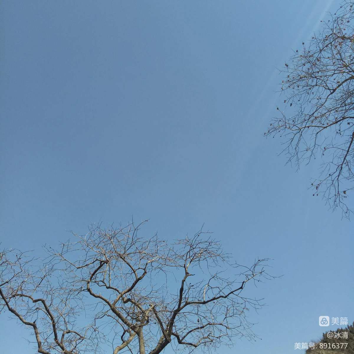 艾尔之光澄_澄艾水_澄艾的作用是什么