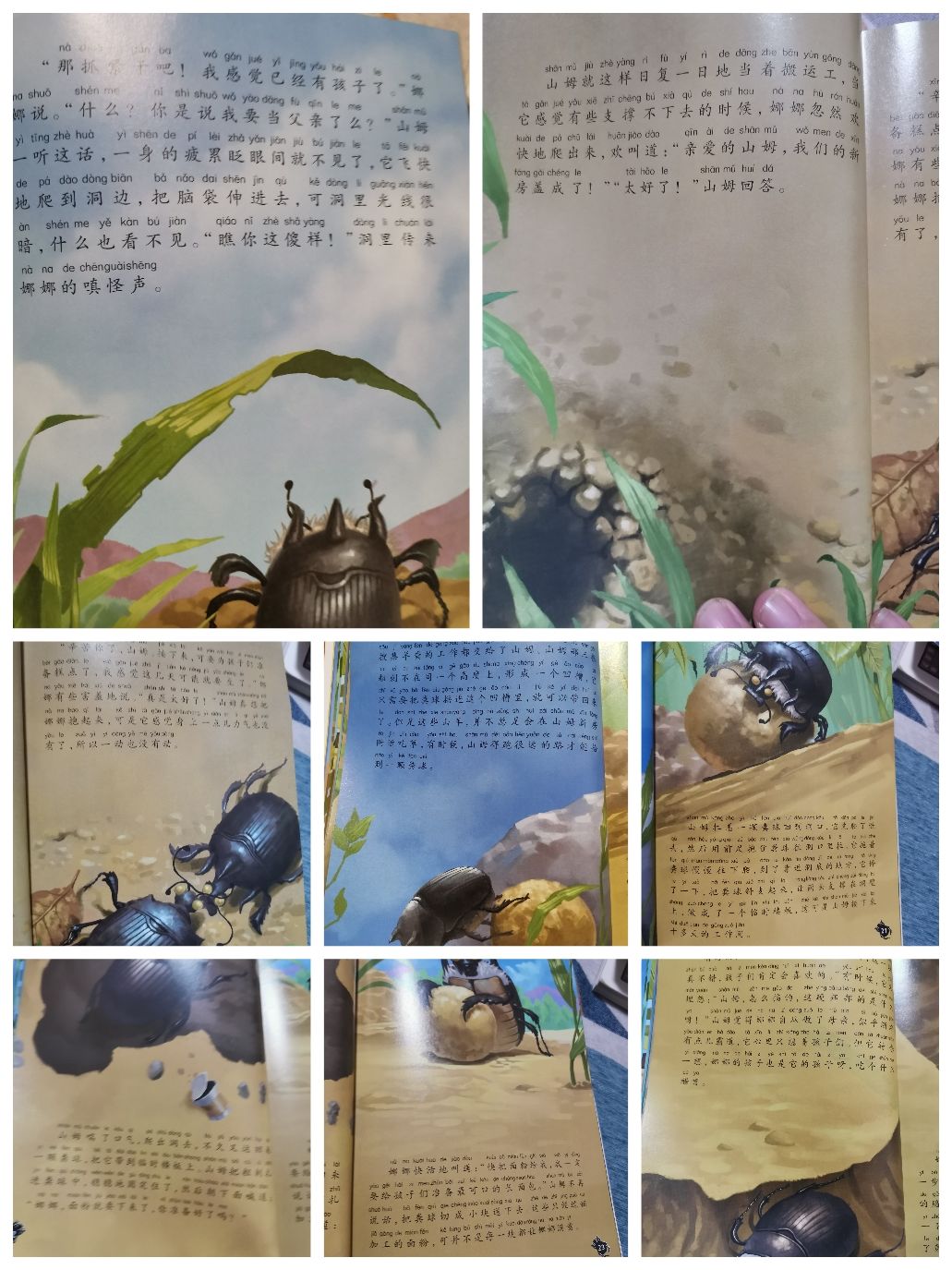 粪金龟_粪金龟护符_粪金龟是屎壳郎吗