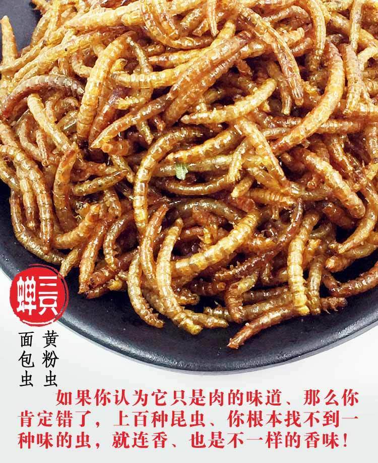 虫子零食游戏攻略_虫子零食手机版游戏解说_虫子零食游戏英文名
