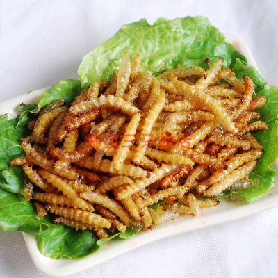 虫子零食手机版游戏解说_虫子零食游戏攻略_虫子零食游戏英文名