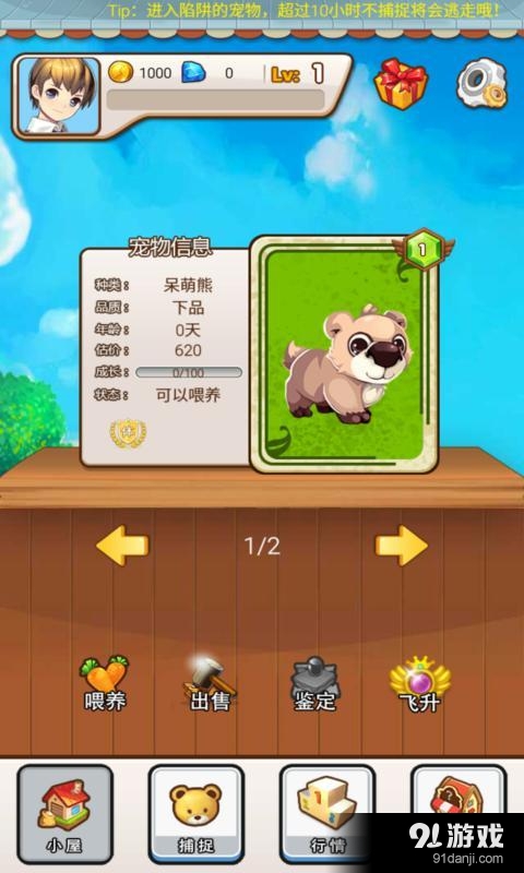 养成游戏手机游戏_养成游戏app_放在手机里的养成游戏下载