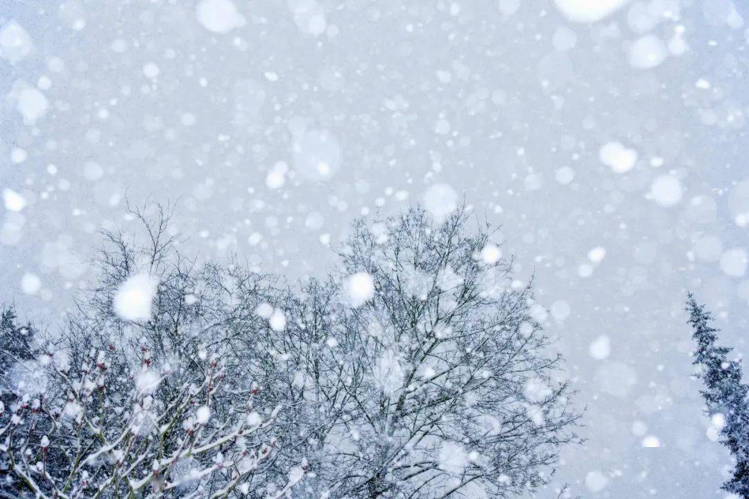 雪歌词_雪歌_雪歌女装属于什么档次
