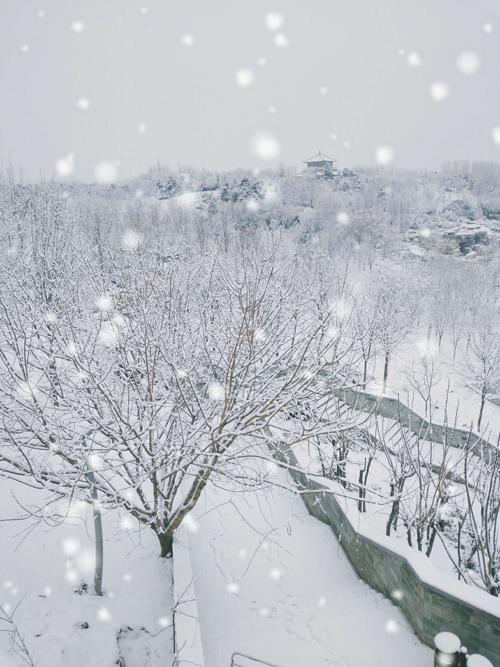 雪歌女装属于什么档次_雪歌词_雪歌