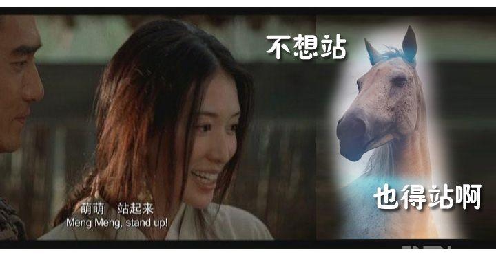 宝月ひかる_宝月楼在哪_宝月茜