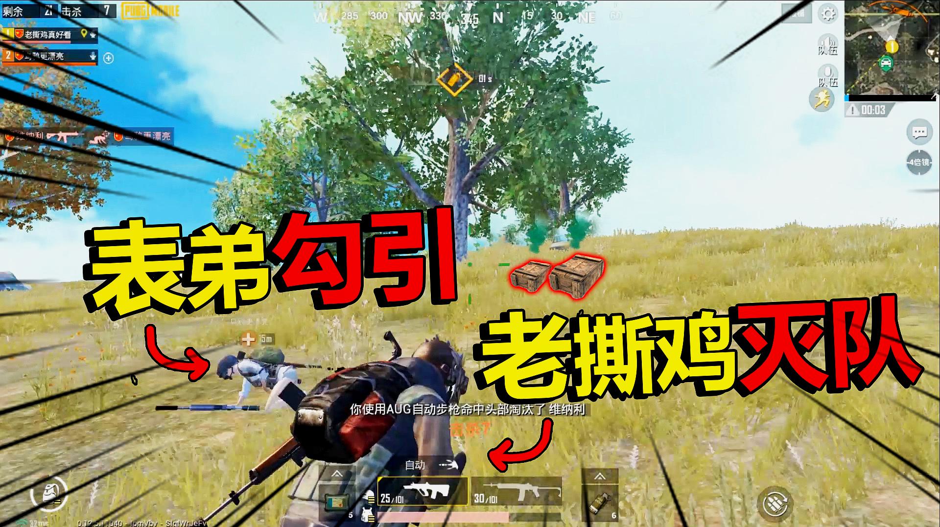 一款鸡的游戏_顶级手机玩吃鸡游戏_鸡吃米游戏