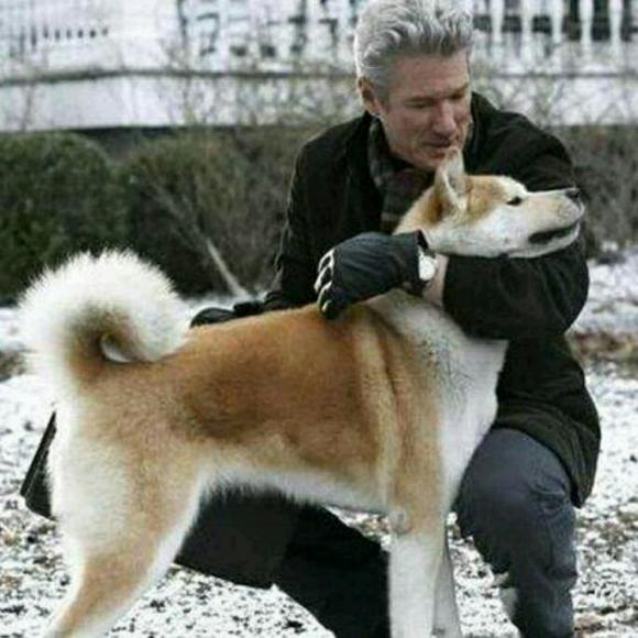 忠犬八公的故事在线观看完整版_免费忠犬八公的故事电影国语_忠犬八公故事电影