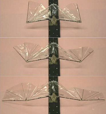 有滑翔翼的游戏_滑翔机的翅膀_翅膀滑翔手机游戏