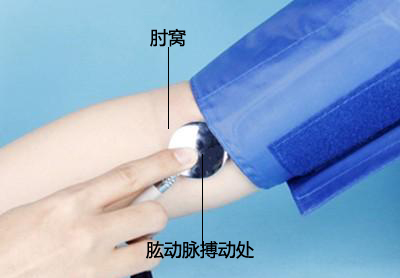 测血压心跳软件下载_血压心率测试软件_测血压心跳的手机游戏