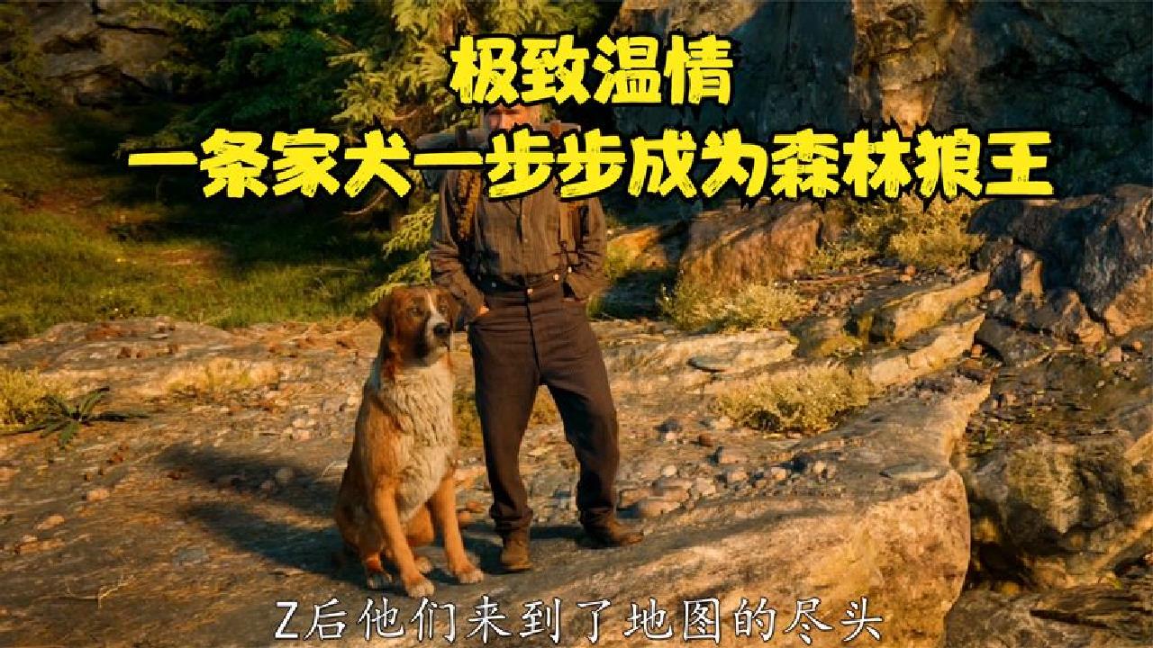 野性的呼唤电影_野性呼唤的结局_呼唤的野性