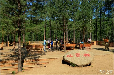 葱游兵_葱游兵_葱游兵