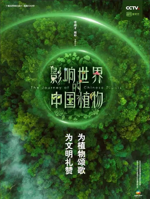 搭配的游戏名字_给我配的手机游戏名_游戏名配对