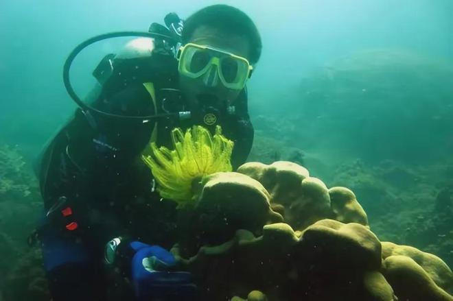 按键手机游戏深海_深海游戏攻略_深海手游
