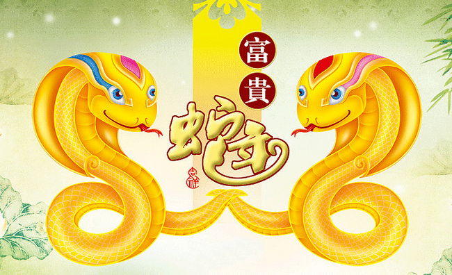 2025年是属什么年_属年是哪年出生的_属年是哪几年
