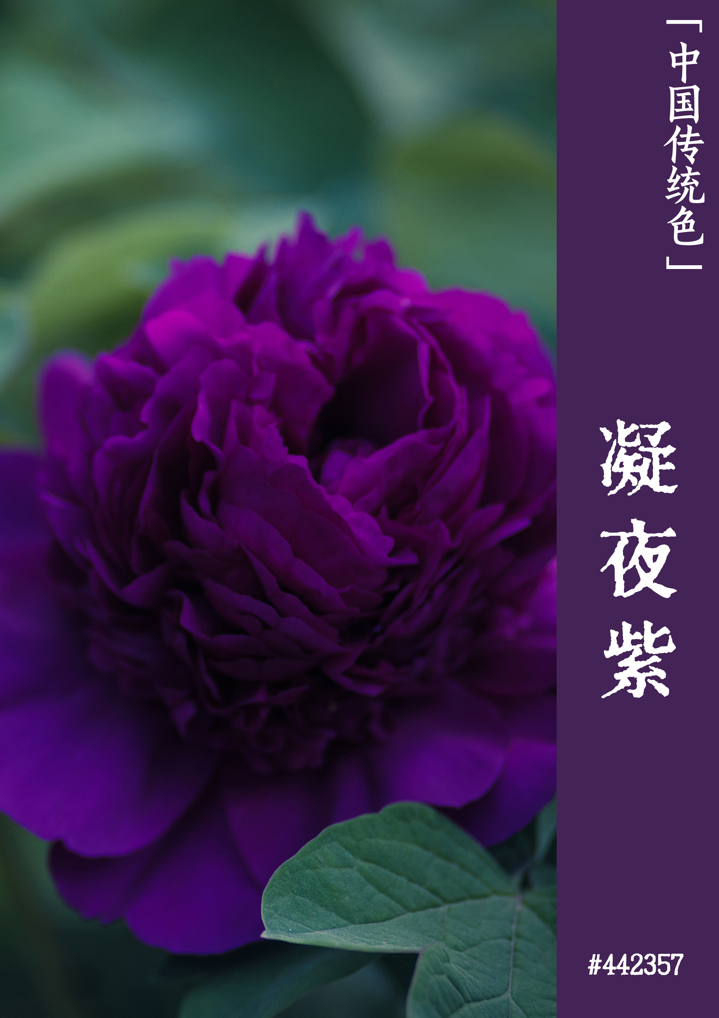 电脑游戏开发怎么操作手机_用手机开发游戏_开发电脑的游戏