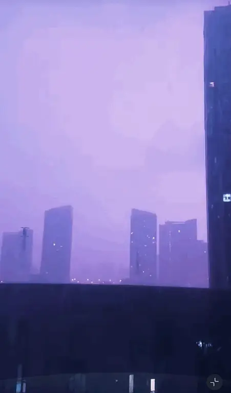 长尾景虎_长尾景虎强吗_长尾景虎值得喂杯子吗