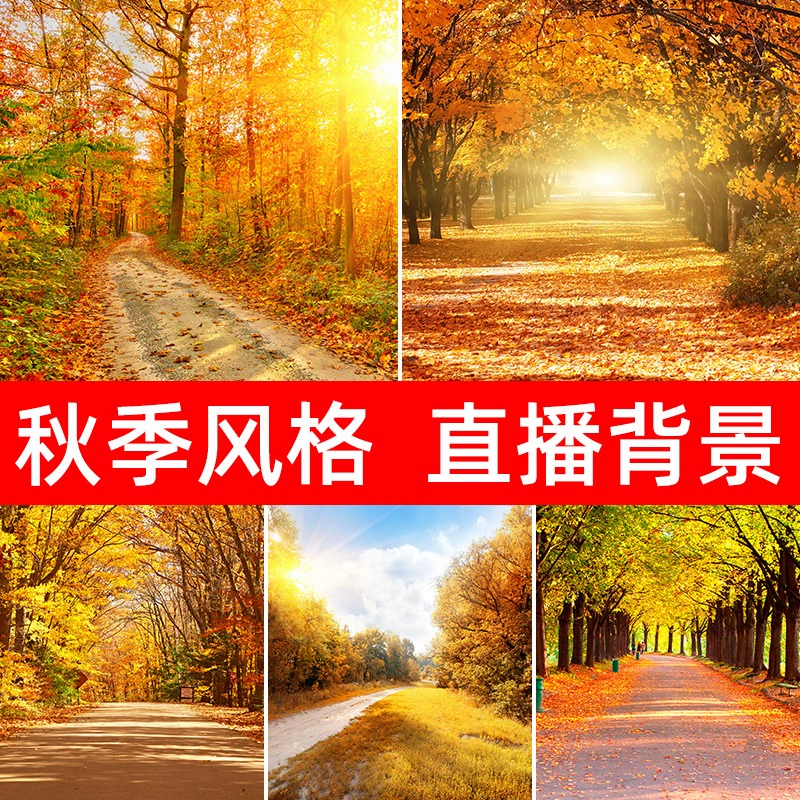 直播靠什么赚钱-直播经济揭秘：主播如何赚钱？多种模式解析及挑战