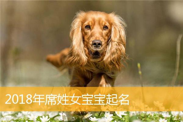 狗属于哪年生_属狗的是哪年出生的_狗生于哪年