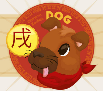 属狗的是哪年出生的_狗属于哪年生_狗生于哪年