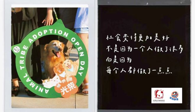 狗狗养成手机游戏有哪些_狗狗养成手机游戏_狗狗养成类手机游戏
