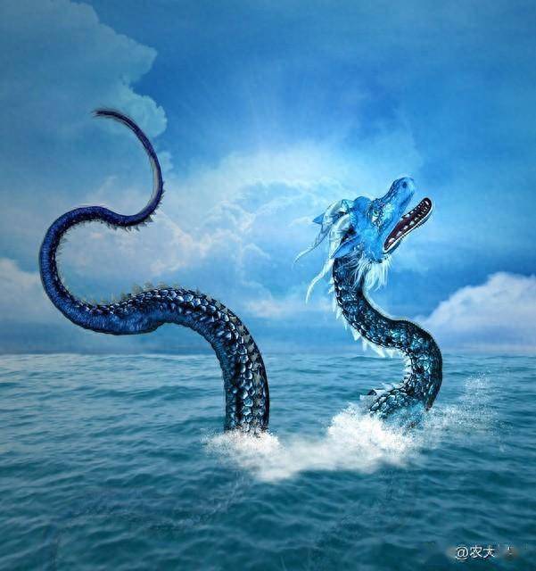 金刚经_金刚光_金刚菩提