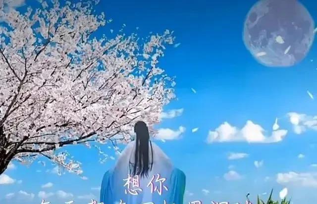 伤物语_物语伤2下载_物语伤物语3