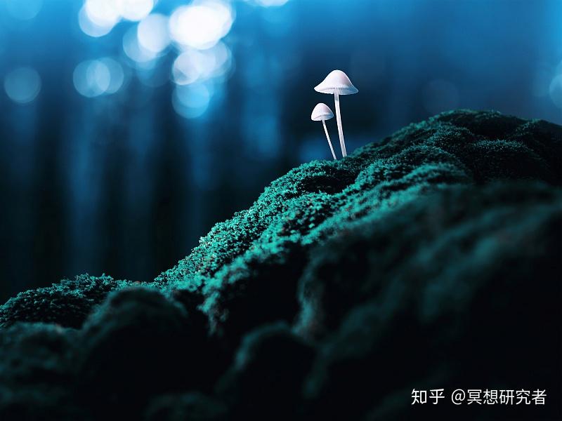 物语伤物语3_物语伤2下载_伤物语