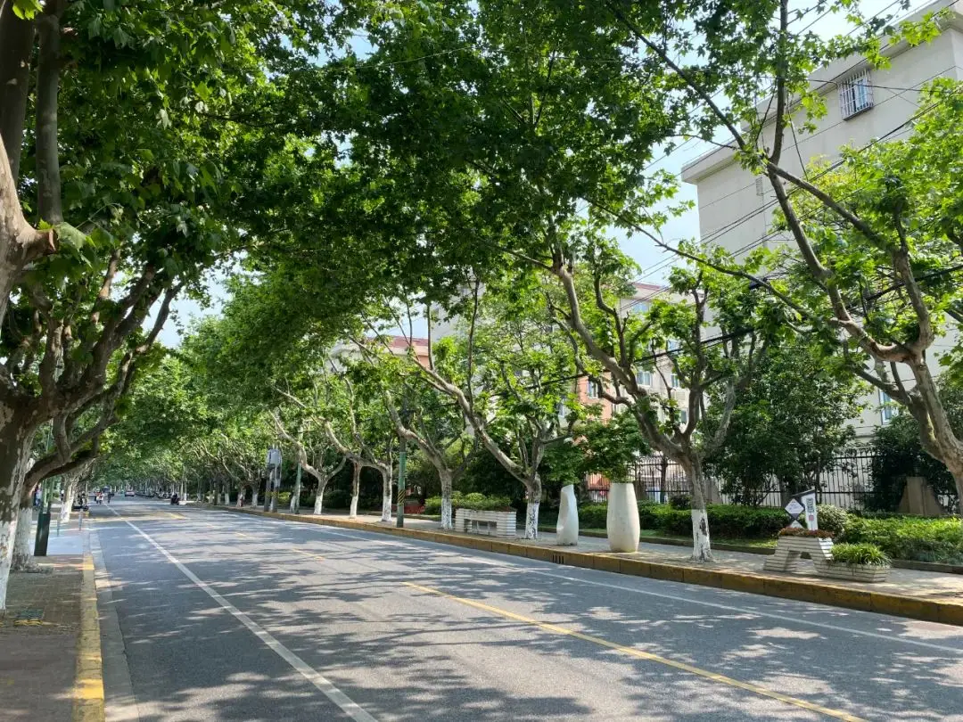 锤子游戏模式_锤子手机游戏掉线_锤子手机玩游戏卡怎么办