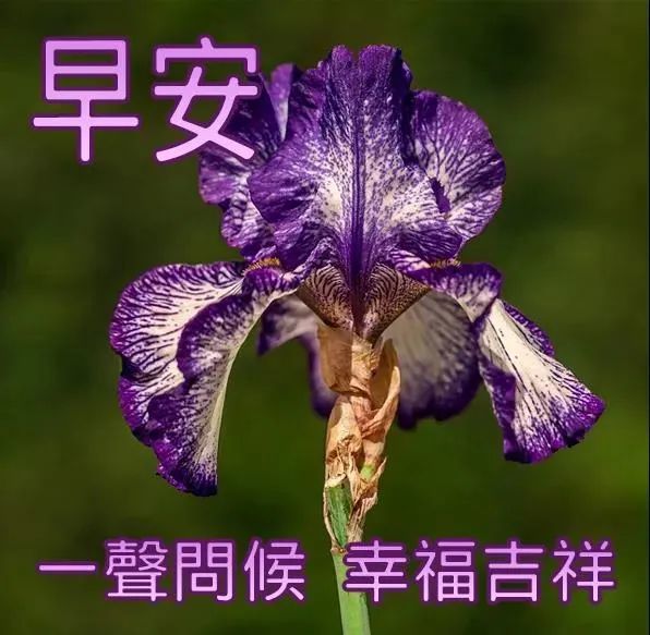 外国生产日期怎么看日月年_月日年还是日月年_2022年10月31日