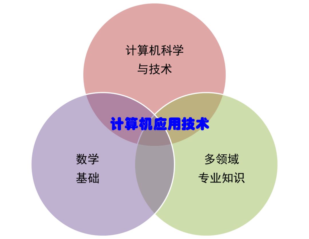 世界圆周率日_圆周率世界纪录背诵纪录_圆周率世界纪录视频